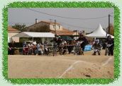DSC01666